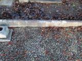 image of grave number 368833